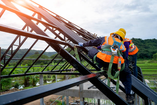 Best Roof Waterproofing Services  in Pinckneyvle, IL