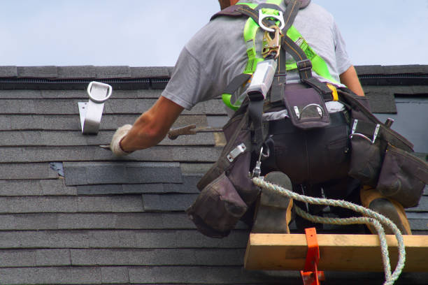 Best New Roof Installation  in Pinckneyvle, IL