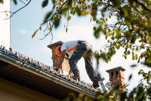 Roof Installation Near Me in Pinckneyville, IL