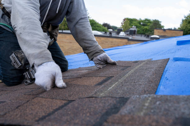 Best Gutter Installation and Roofing  in Pinckneyvle, IL