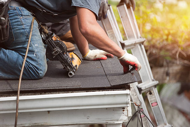 Best Roof Restoration Services  in Pinckneyvle, IL