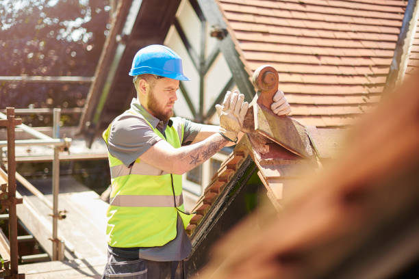 Best Roof Inspection Near Me  in Pinckneyvle, IL